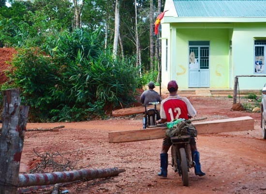 Illegal wood transport in the forest area under management of Dak Glei Company in Kon Tum province